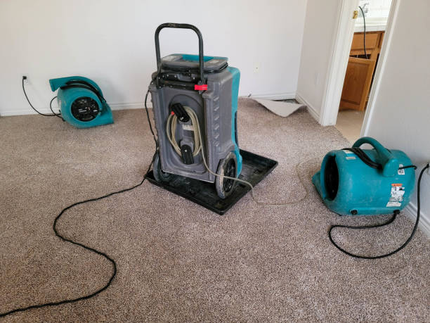 Best 24/7 water damage repair  in Murphy, MO