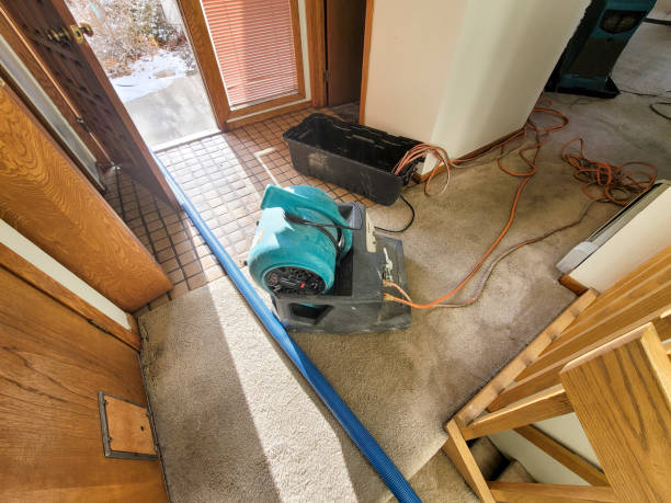 Best Water damage restoration near me  in Murphy, MO