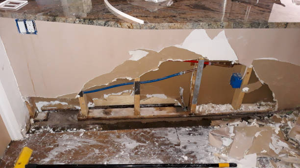 Best Sewage cleanup and water damage restoration  in Murphy, MO