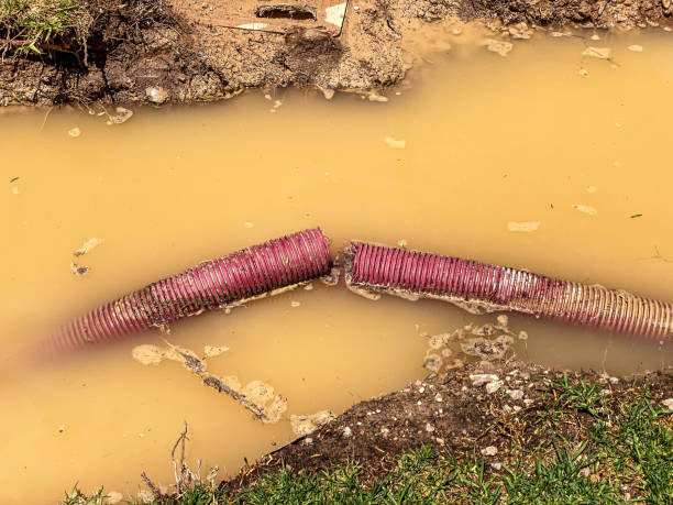 Best Water damage restoration near me  in Murphy, MO